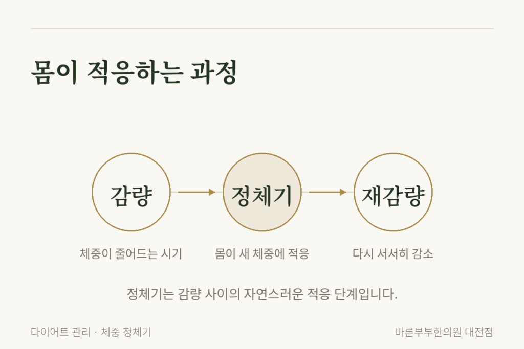 다이어트08 워드프레스삽입 2적응과정